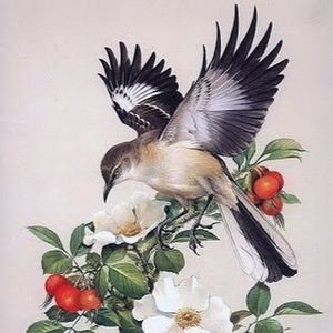 Meet your Posher, Leo